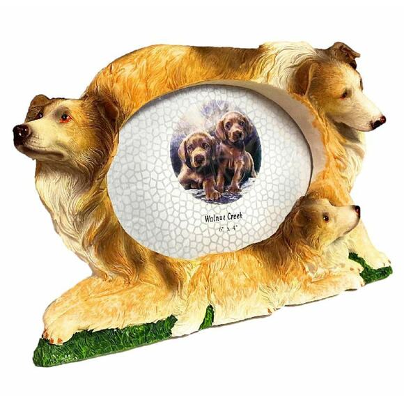 3D Collie Picture Frame Family Dog Brown White Hand Painted Holds 4x6 Photo NEW - Picture 3 of 11